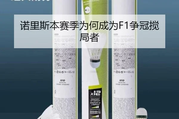 诺里斯本赛季为何成为F1争冠搅局者